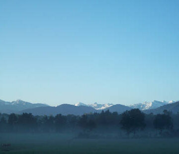 Stimmungsvolles am Morgen