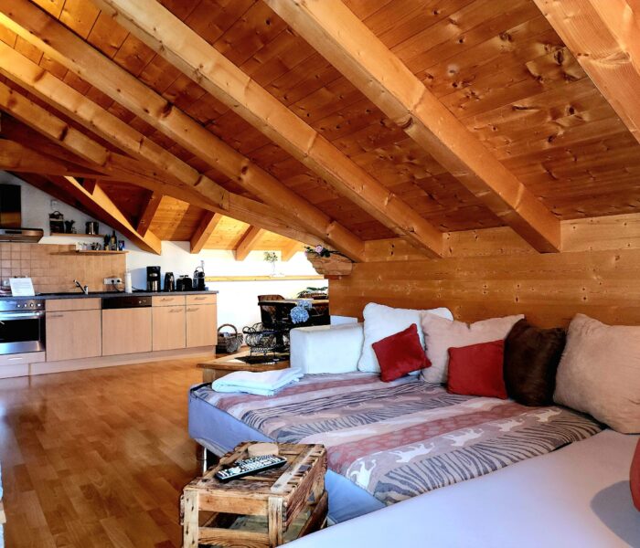 offener Wohnbereich mit ausgezogener Schlafcouch