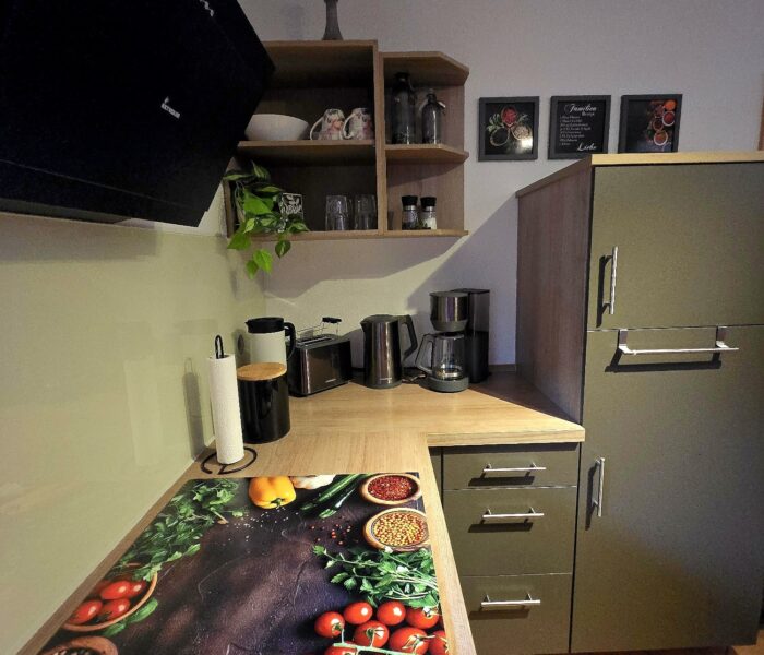 Küche - Küchenzeile mit großer Kühl-Gefrierkombination