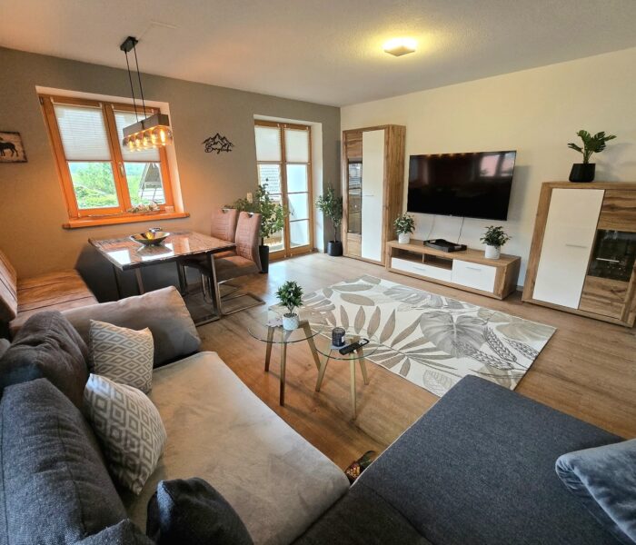 Wohnzimmer - Blick zur Wohnwand