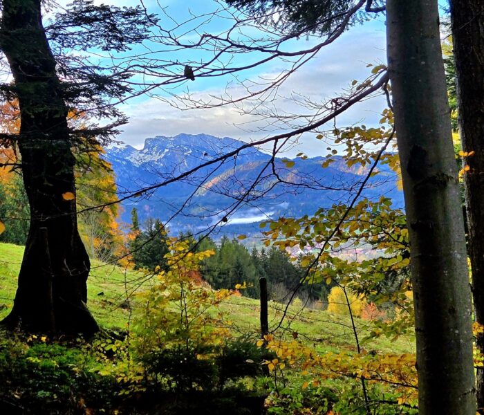 Wanderweg zur Schwaiger Alm - Blick auf das Brauneck